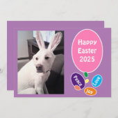 バニーの耳を飾ったかわいい犬の写真イースターエッグ シーズンカード (正面/裏面)