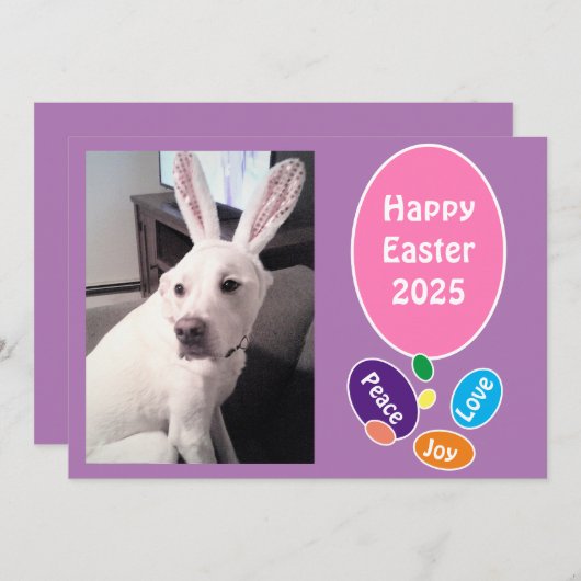 バニーの耳を飾ったかわいい犬の写真イースターエッグ シーズンカード (正面/裏面)