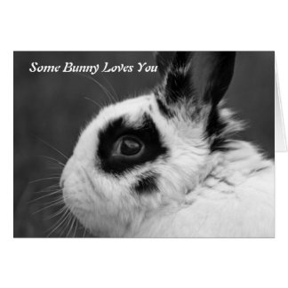 バニーはカード愛します