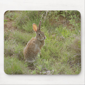 バニーは肩に見ます マウスパッド