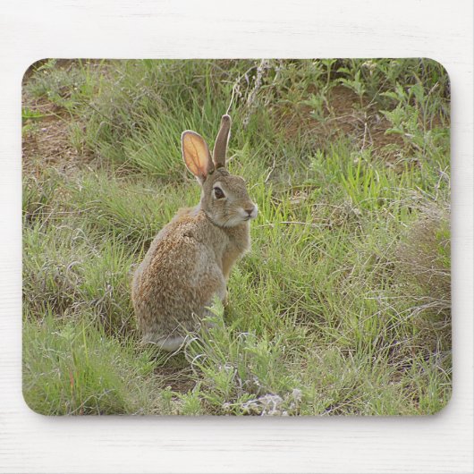 バニーは肩に見ます マウスパッド (正面)