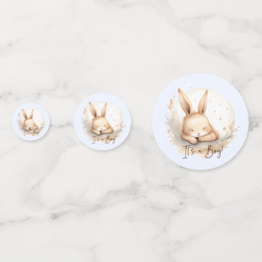 バニーを寄り添う男の子 コンフェッティ (裏面)