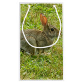 バニーウサギのギフトバッグ スモールペーパーバッグ (裏面)