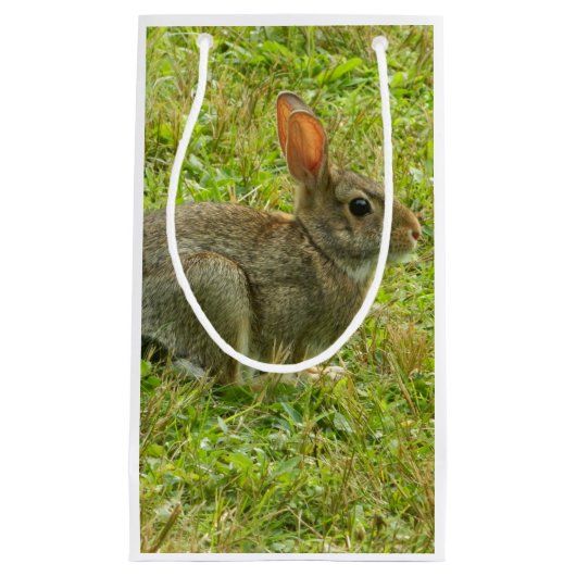 バニーウサギのギフトバッグ スモールペーパーバッグ (正面)