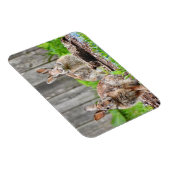 バニーウサギ二頭 マグネット (右側)