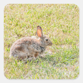 バニーウサギ – イースター – 野生動物 – 動物 スクエアシール