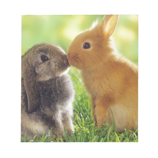 バニーキス ノートパッド (正面)