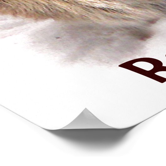 バニーシーティングシェルターアースデイ ポスター (角)