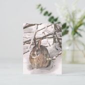 バニーシーティングシェルター ポストカード (スタンド正面)