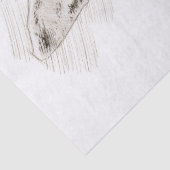 バニースケッチ 薄葉紙 (詳細)