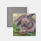 バニードリームズマグネット マグネット (正面/裏面)