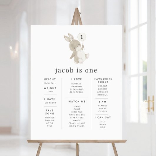 バニーバルーンマイルストーンポスター ポスター