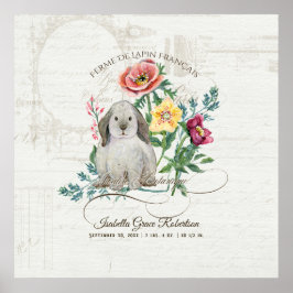 バニーフランスのラビットファームヴィンテージベビー名n統計 ポスター