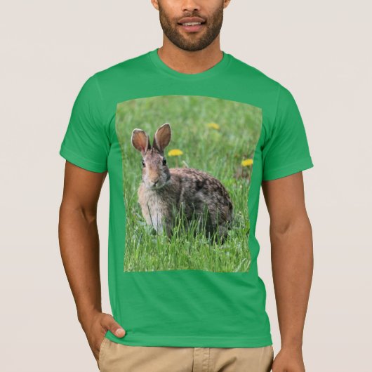 バニーフード付きスウェットシャツ Tシャツ (正面)