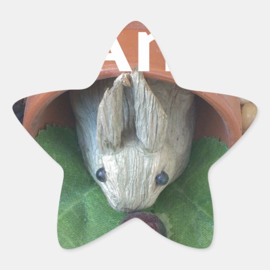 バニーホームハニーアムホーム 星シール (正面)