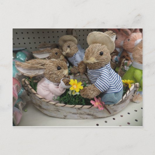 バニーボート ポストカード (正面)