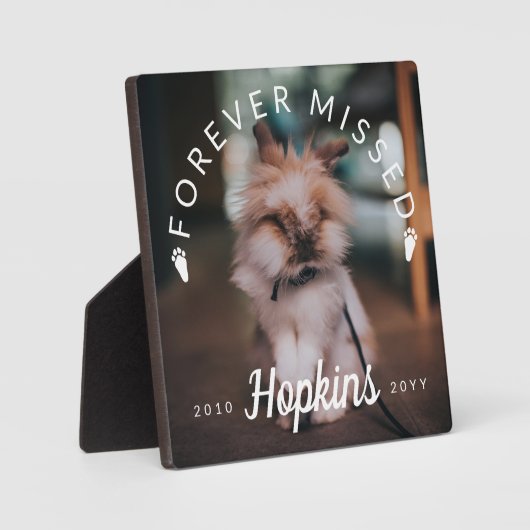 バニーポーズカーブ文字フォーエバー恋しく思サビット写真 フォトプラーク (正面)