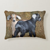 バニーヤート アクセントクッション (正面)