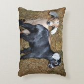 バニーヤート アクセントクッション (正面(垂直))