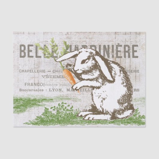 バニーラビットキャロットイースターフランスのクラフトデコップページ 薄葉紙 (正面)