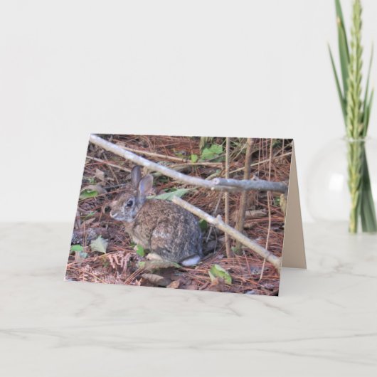 バニーラビットグリーティングカード シーズンカード (正面)