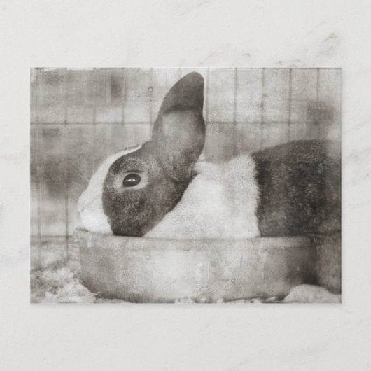 バニーラビットボウルに座ってレトロイースター シーズンポストカード (正面)