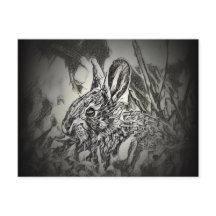 バニーラビットポストカード – ヤードクリッター