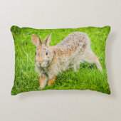 バニーラビットワイルドライフグリーン自然アクセント枕 アクセントクッション (正面)