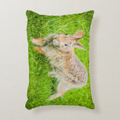 バニーラビットワイルドライフグリーン自然アクセント枕 アクセントクッション (正面(垂直))