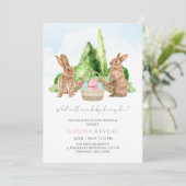 バニーラビット春イースターエッグベビージェンダーリビール 招待状 (スタンド正面)