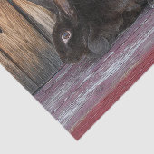 バニーラビット素朴ブラウンカントリーファーム 薄葉紙 (詳細)