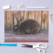 バニーラビット素朴ブラウンカントリーファーム 薄葉紙 (クラフト)