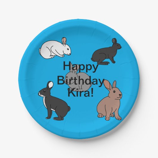 バニーラビット誕生日 ペーパープレート (正面)