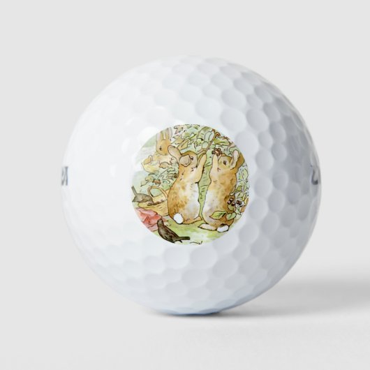 バニーラビット：ブラックベリー狩り（ビアトリックス・ポッター） ゴルフボール (正面)