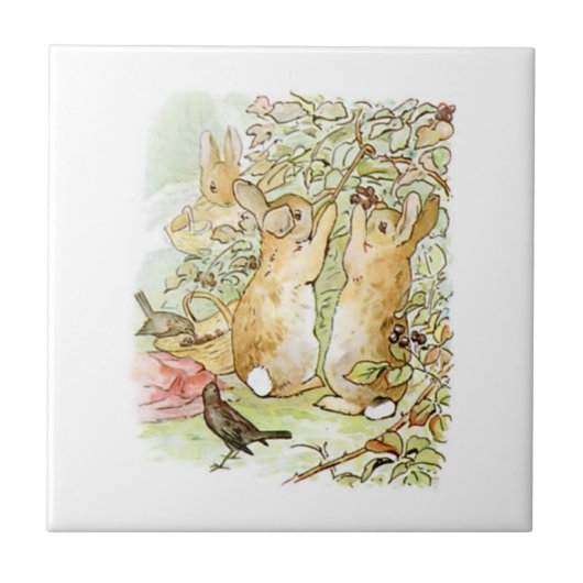 バニーラビット：ブラックベリー狩り（ビアトリックス・ポッター） タイル (正面)