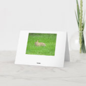 バニーラビット(緑の草)グリーティングカード シーズンカード (裏面)