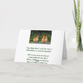 バニーラブワイルドラビットコレクション カード (裏面)