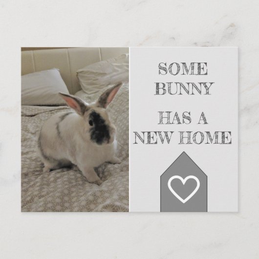 バニー写真引っ越しました |新しいホーム案内 ポストカード (正面)