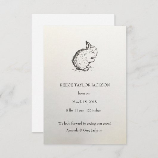 バニー出産のお知クラシックらせ伝統的, 案内状 (正面/裏面)