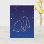 バニー悔やみや弔慰 カード (黄色い花)