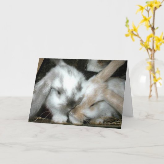 バニー愛記念日 カード (黄色い花)