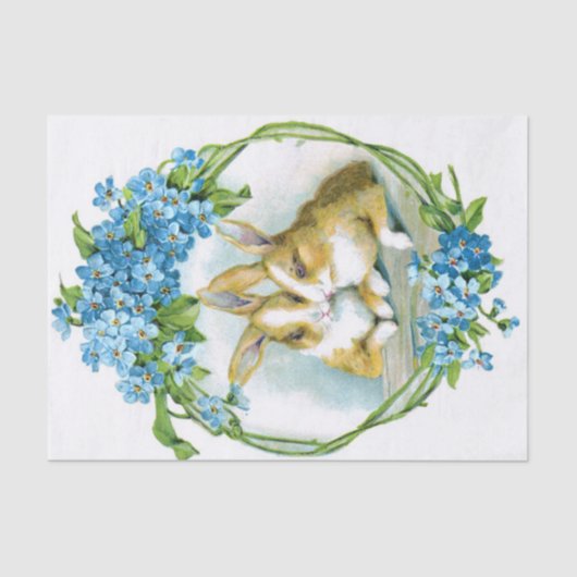 バニー愛 薄葉紙 (正面)