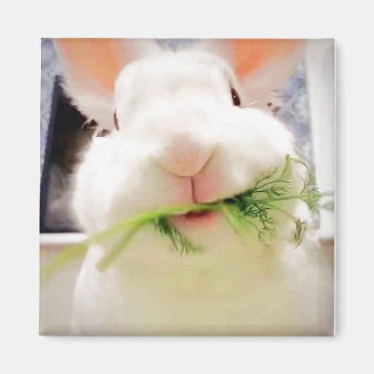 バニー磁石 マグネット (正面)