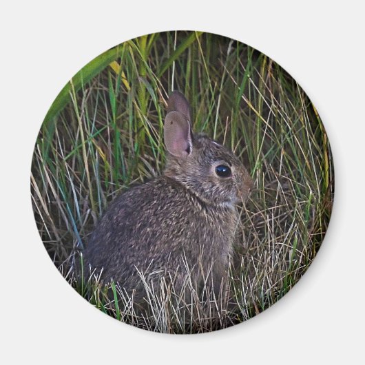 バニー磁石 マグネット (正面)