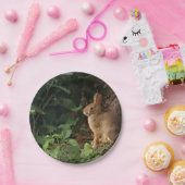 バニー紙プレート – ウサギと自然愛好家のために ペーパープレート (パーティー)