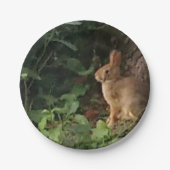 バニー紙プレート – ウサギと自然愛好家のために ペーパープレート (正面)