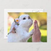 バニー葉書を除外する ポストカード (正面/裏面)