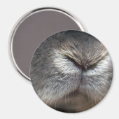 バニー鼻 マグネット (正面/裏面)