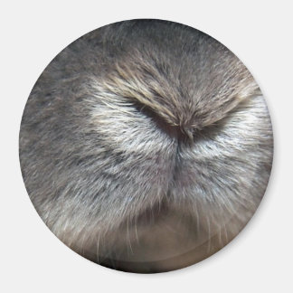 バニー鼻 マグネット