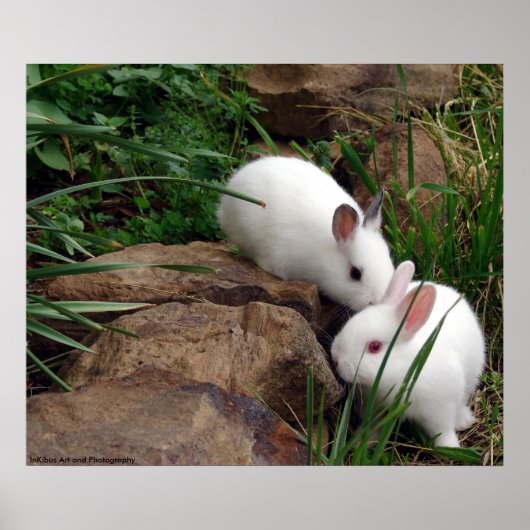 バニー・ウィスパー ポスター (正面)